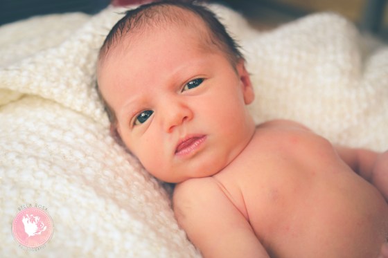 California Newborn Photographer