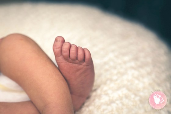 California Newborn Photographer