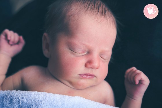 California Newborn Photographer