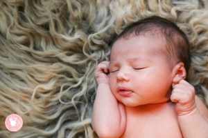 Auburn-CA-Newborn-Photographer