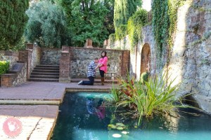 Grass-Valley-Maternity-Photographer