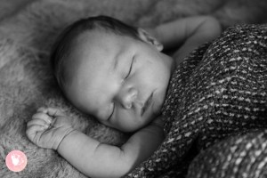 auburn-newborn-photographer